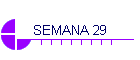 SEMANA 29
